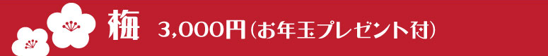 武州屋・新春福袋2015・梅