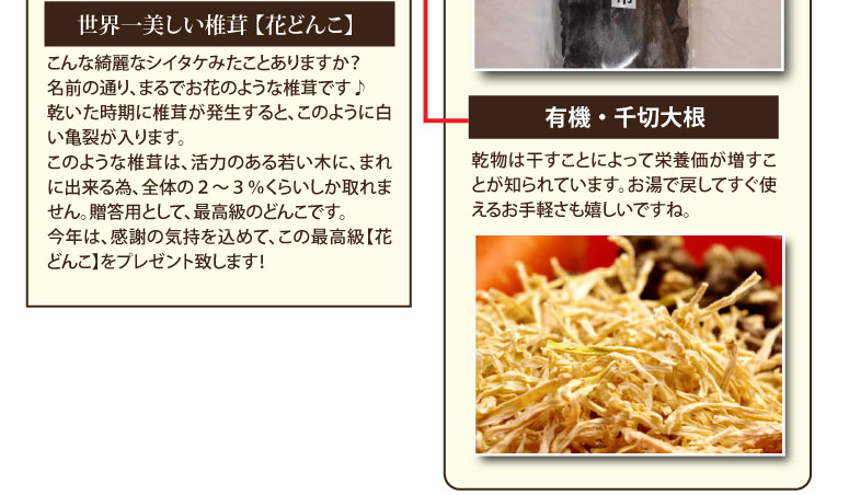 武州屋・新春福袋2015・お徳用どんこ1kg+天日干し椎茸400g+熊本産・天日干し黒きくらげ+奥尻産天然真昆布+有機切干大根を12000円・送料無料で♪(お年玉プレゼント付)