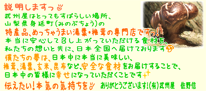 �ܵ��Ǥ���