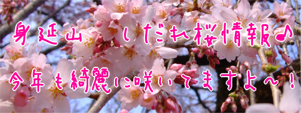 �ȱ仳��������������־���