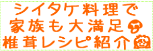 ���������������쥷��