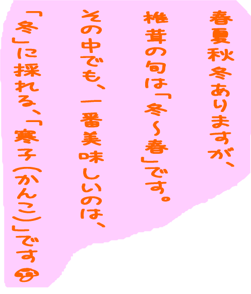 椎茸