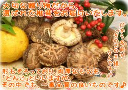 �����롡������������������