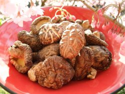お香典返し 干し椎茸