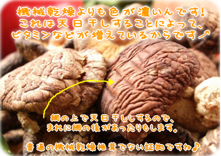 椎茸 国産