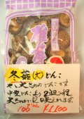 �����������緿�ɤ�