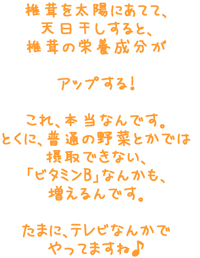 ��ŷ������������������2