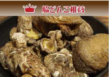 福袋用・脇どんこ
