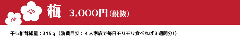 武州屋・新春福袋2019・梅